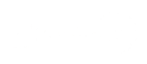 Prowcs Erp Yazılım ve Danışmanlık